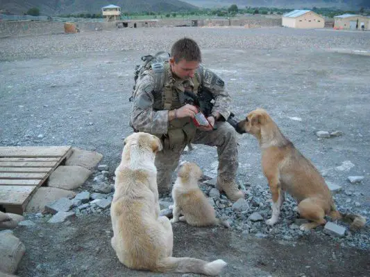 sOLDIER FEEDING THE DEFENSELESS